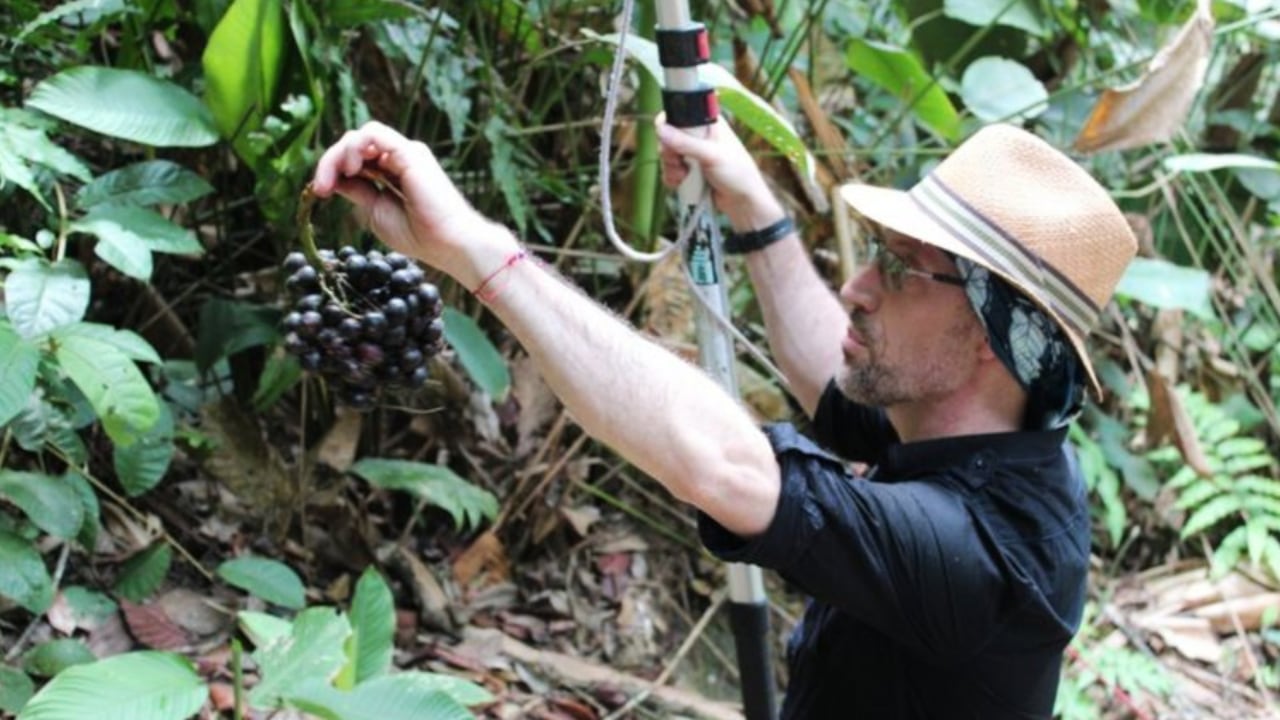 Mauricio Diazgranados, botánico colombiano.
