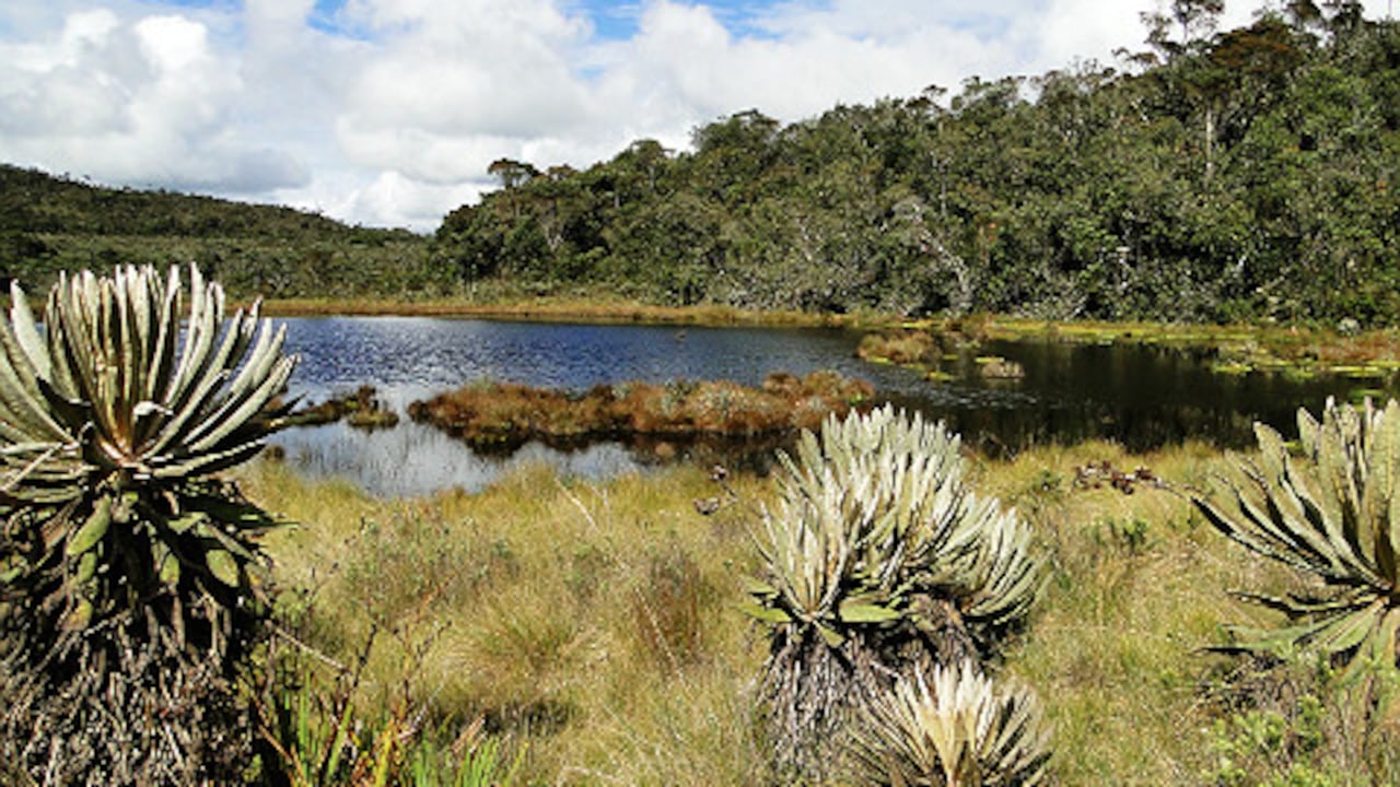 Páramo Santa Inés.