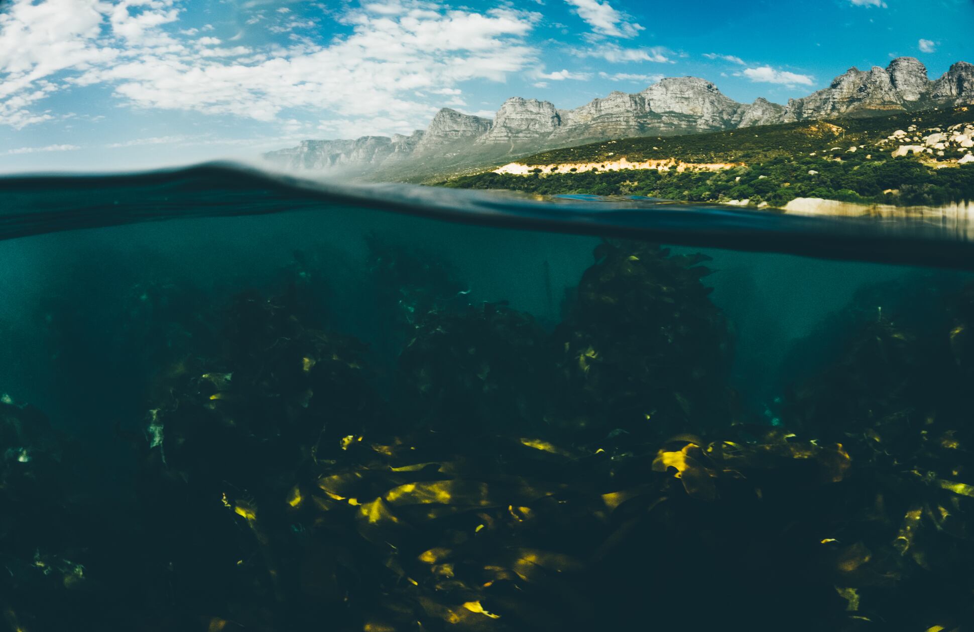 Bajo miles de metros de agua, investigadores encontraron una elevación que redefine el paisaje del fondo oceánico.