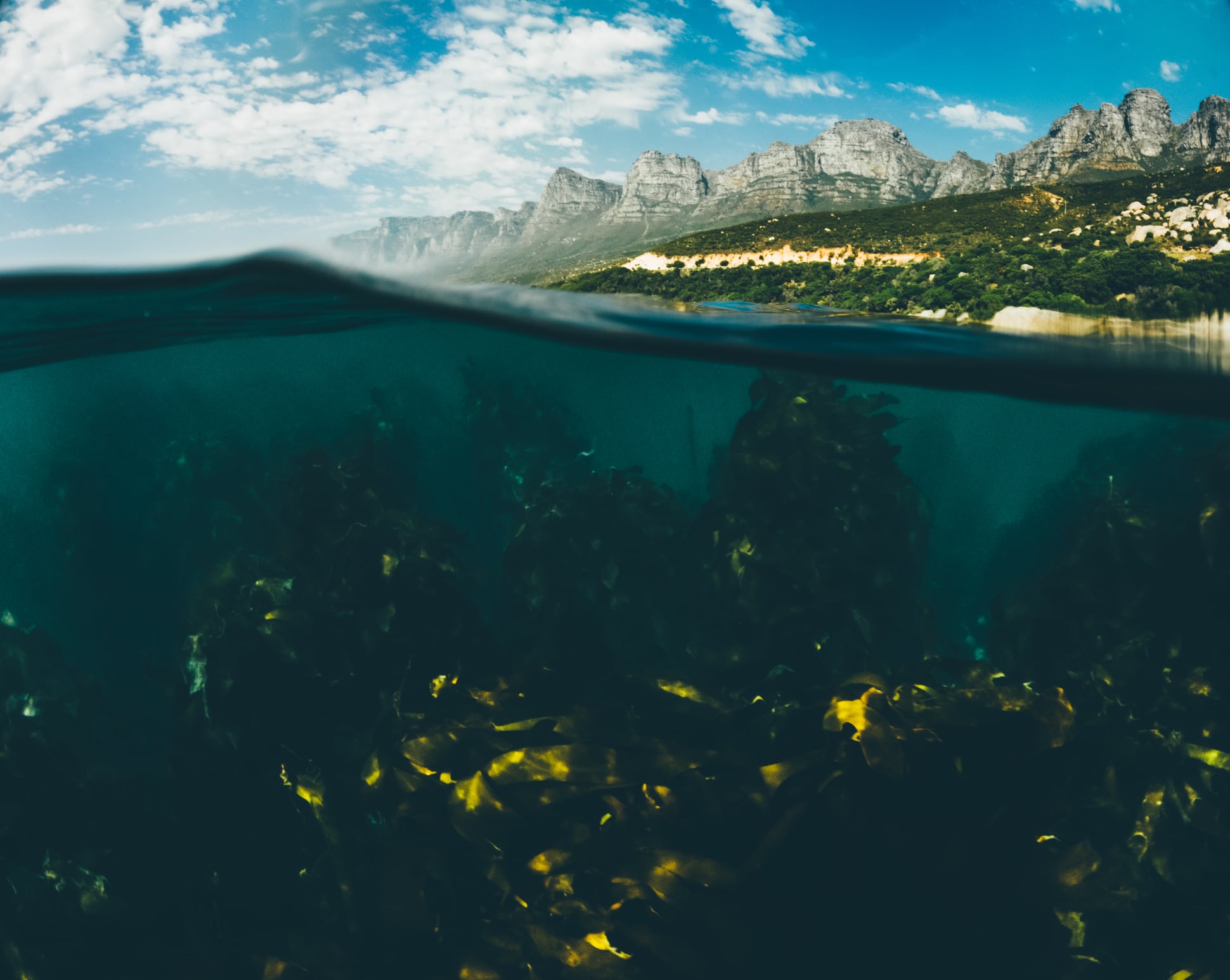 Bajo miles de metros de agua, investigadores encontraron una elevación que redefine el paisaje del fondo oceánico.