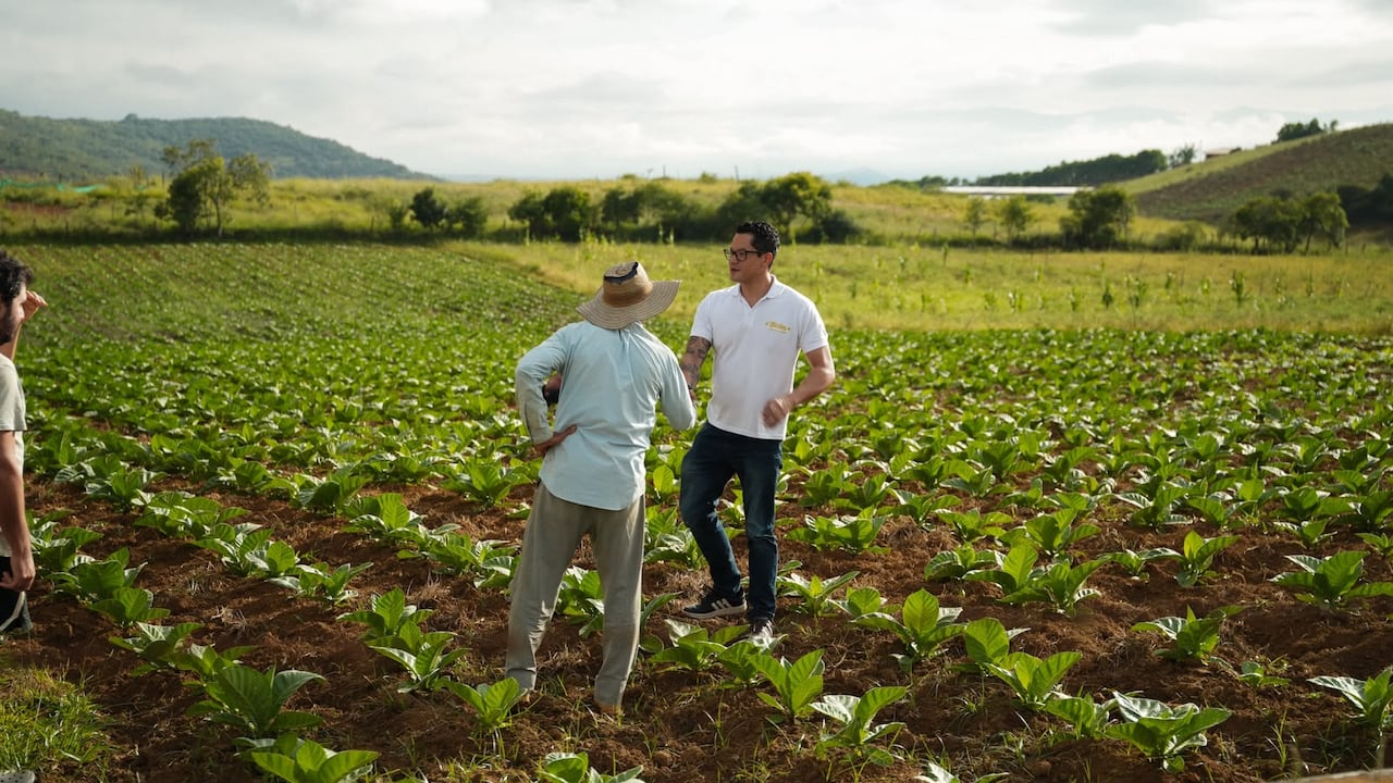 Bribón lleva el tabaco colombiano a su tercera cita en Intertabac