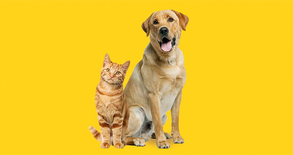 desigualdad o la ‘lotería de la cuna’_5