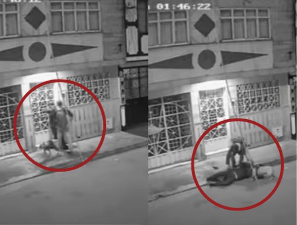 Un delincuente utilizó a su perro pitbull, aparentemente adiestrado, como arma para atacar y robar a un joven.