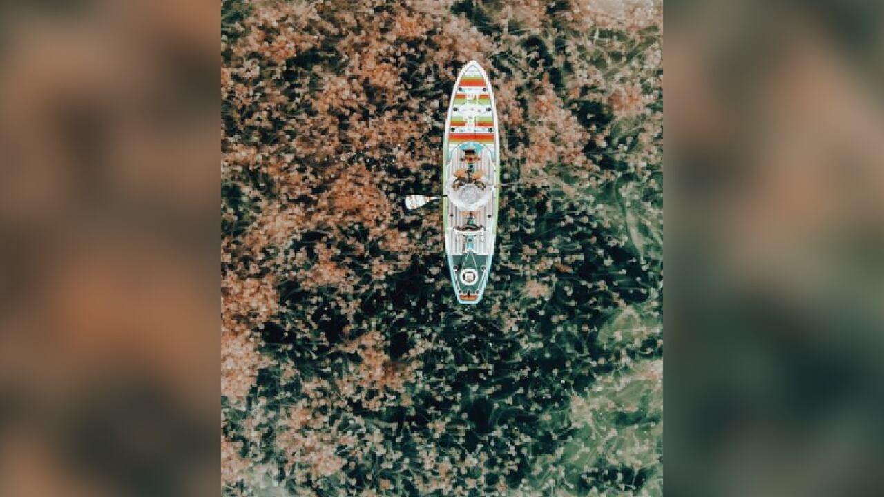 Amber Fletcher y Shane Dye, son los nombres de los fotógrafos que lograron captar estas impresionantes imágenes, las cuales compartieron a través de sus propias redes sociales.