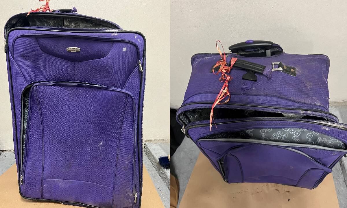 El hombre habría asesinado a su esposa disparándole en la cabeza. Luego decidió desmembrar su cuerpo