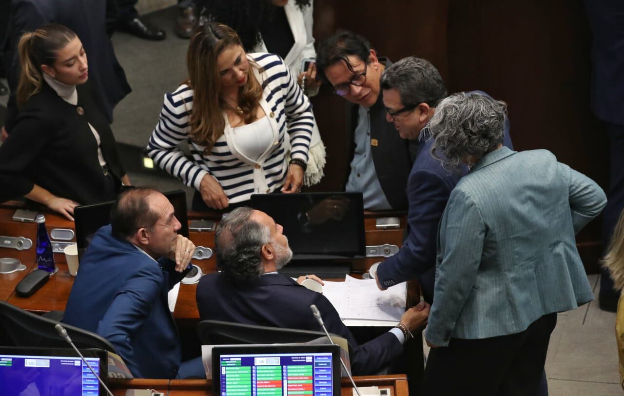 Plenaria del Senado, Consulta Popula