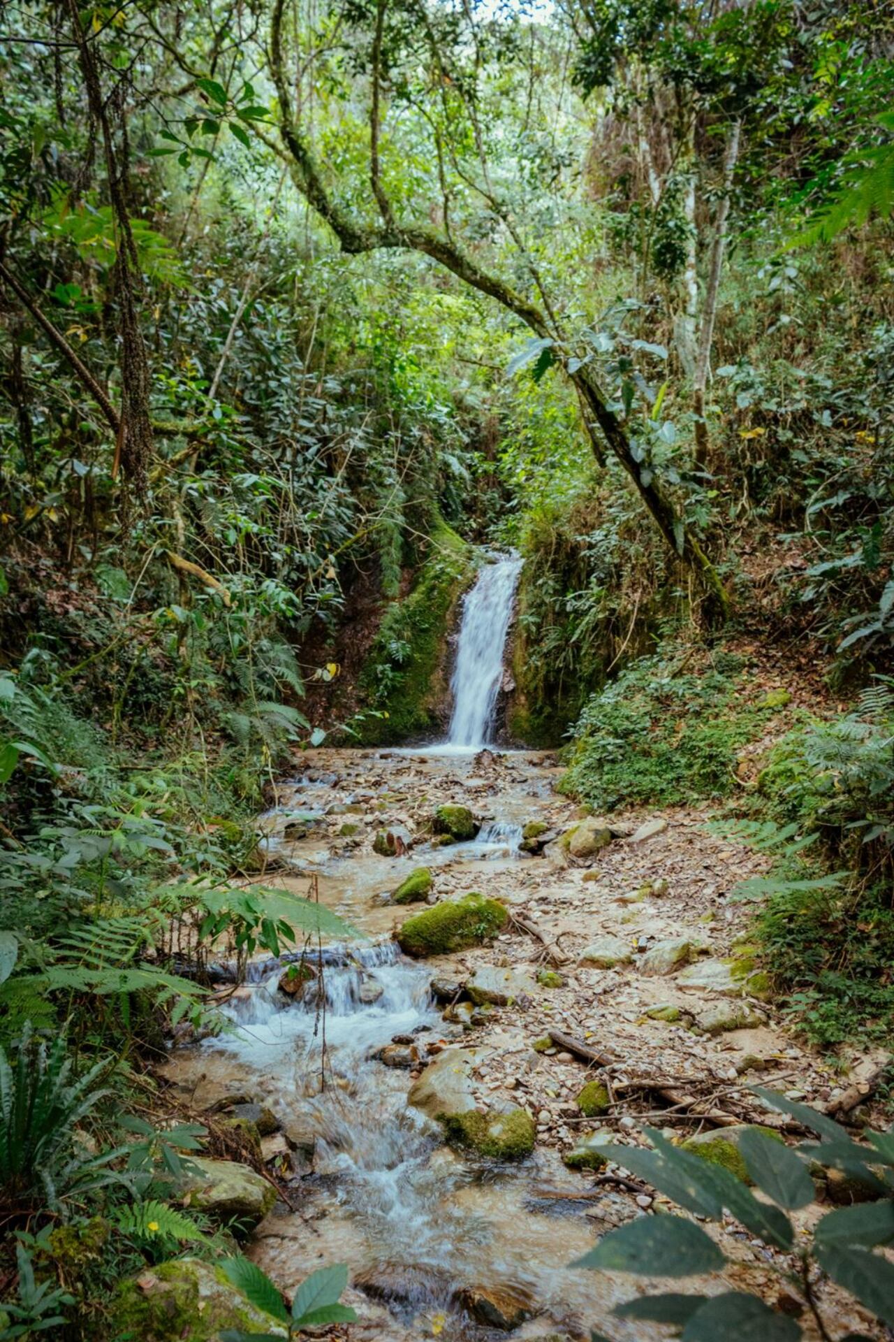 Cascadas San Joaquín