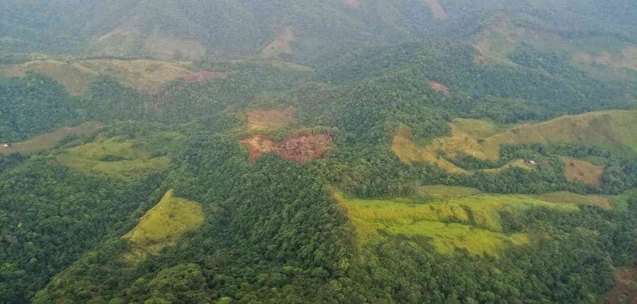 La deforestación es una de las problemáticas que más impacta en la crisis climática. Foto: Mauricio Ochoa