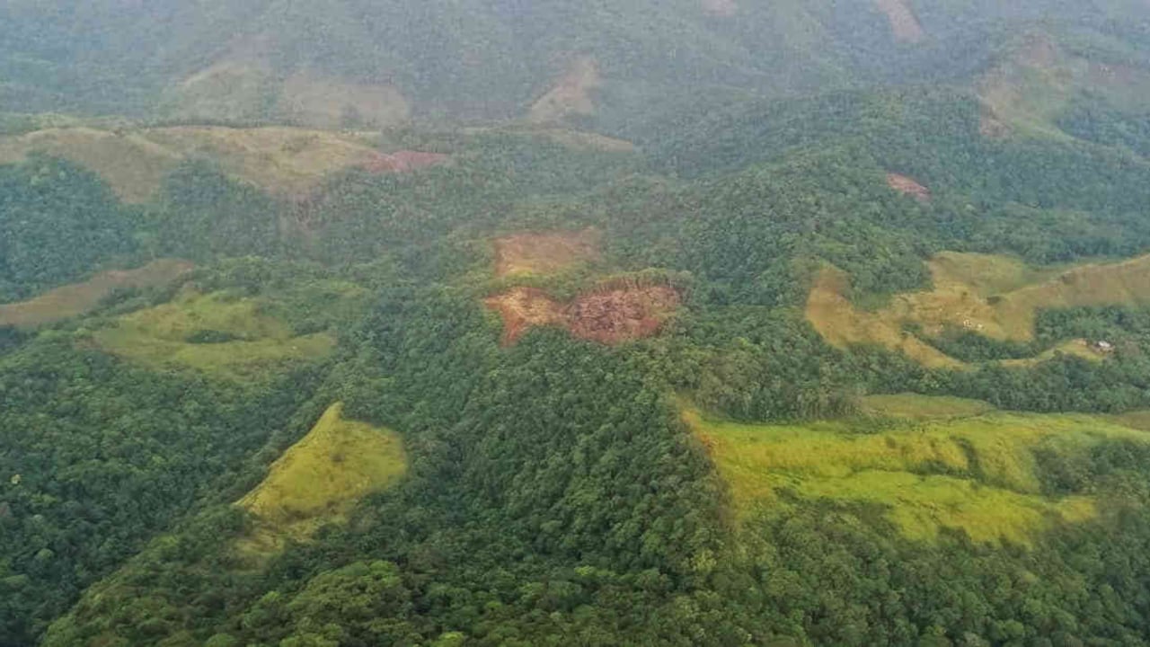 La deforestación es una de las problemáticas que más impacta en la crisis climática. Foto: Mauricio Ochoa