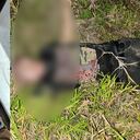 Nueva masacre en el Cauca: 4 personas fueron asesinadas en el corregimiento de Mondomo, jurisdicción del municipio de Santander de Quilichao.