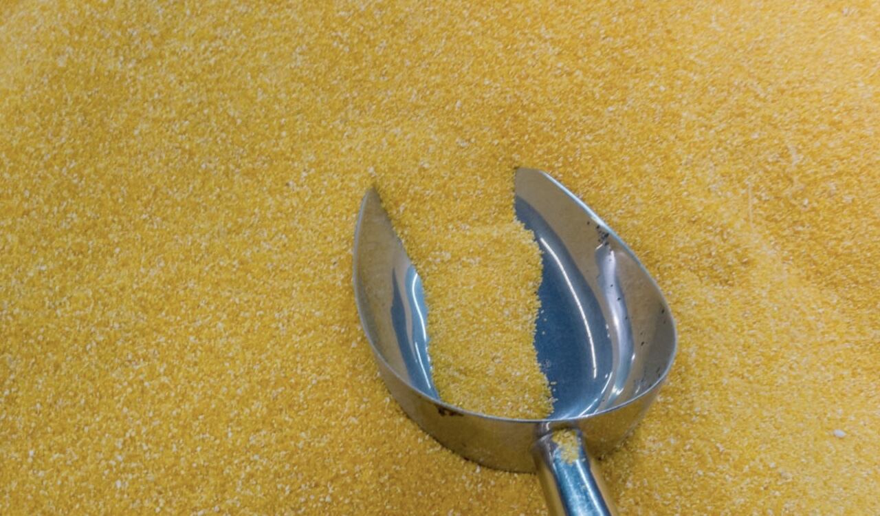 El mijo es uno de los cereales más consumidos en el mundo.