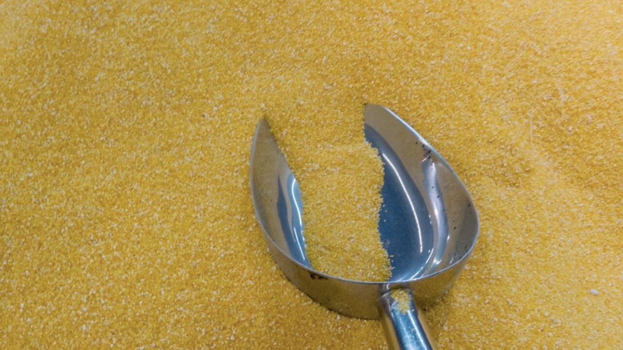 El mijo es uno de los cereales más consumidos en el mundo.