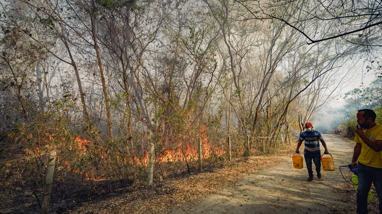 Los incendios forestales mantienen en alerta al Tolima y han afectado varias hectáreas y algunas viviendas. Ante la emergencia, autoridades, organismos de socorro y organizaciones sociales convocan a los ciudadanos a sumarse con donaciones en dinero y en especie para apoyar las labores de atención.