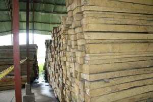 Madera legal significa un paso hacía la sostenibilidad en el tema de árboles.