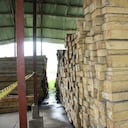 Madera legal significa un paso hacía la sostenibilidad en el tema de árboles.