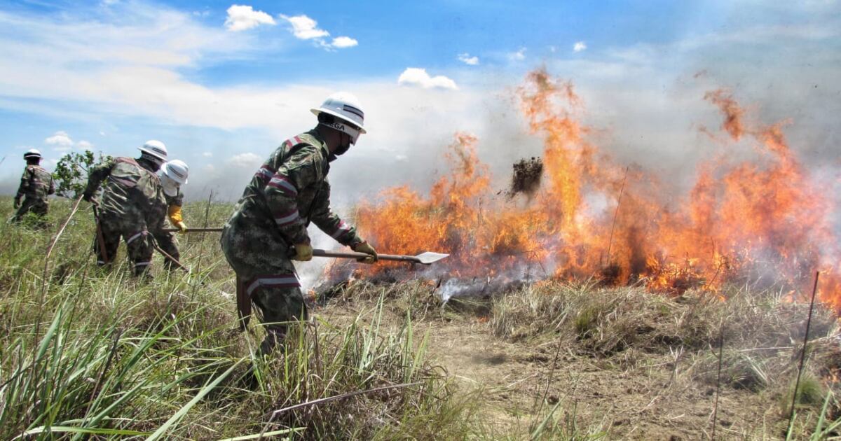 Incendio forestal presentado en el Parque Nacional Natural El Tuparro. Foto: Ejército Nacional.