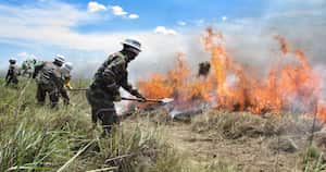 Incendio forestal presentado en el Parque Nacional Natural El Tuparro. Foto: Ejército Nacional.