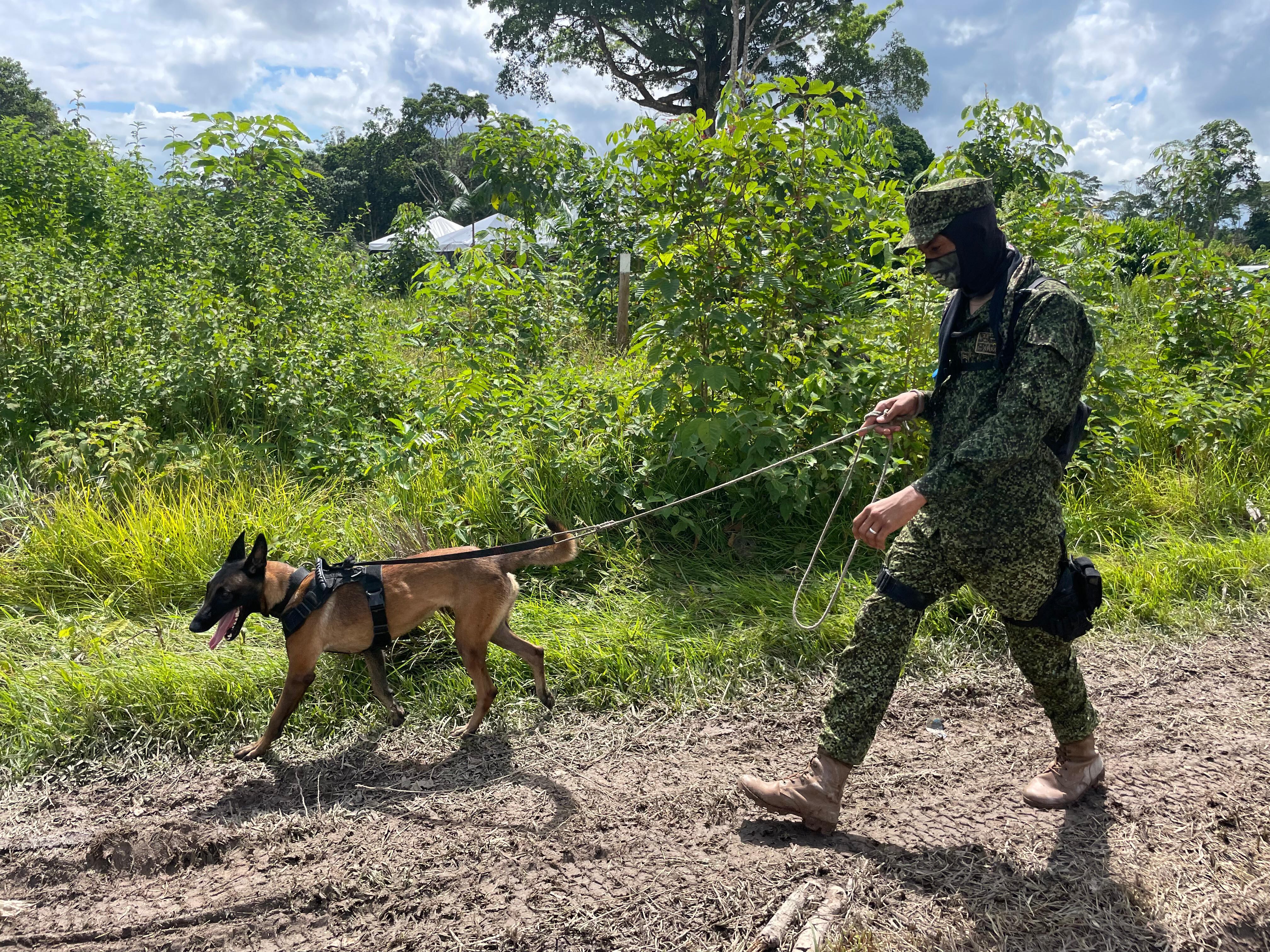 París, la perra pastor belga que es el terror de los narcos