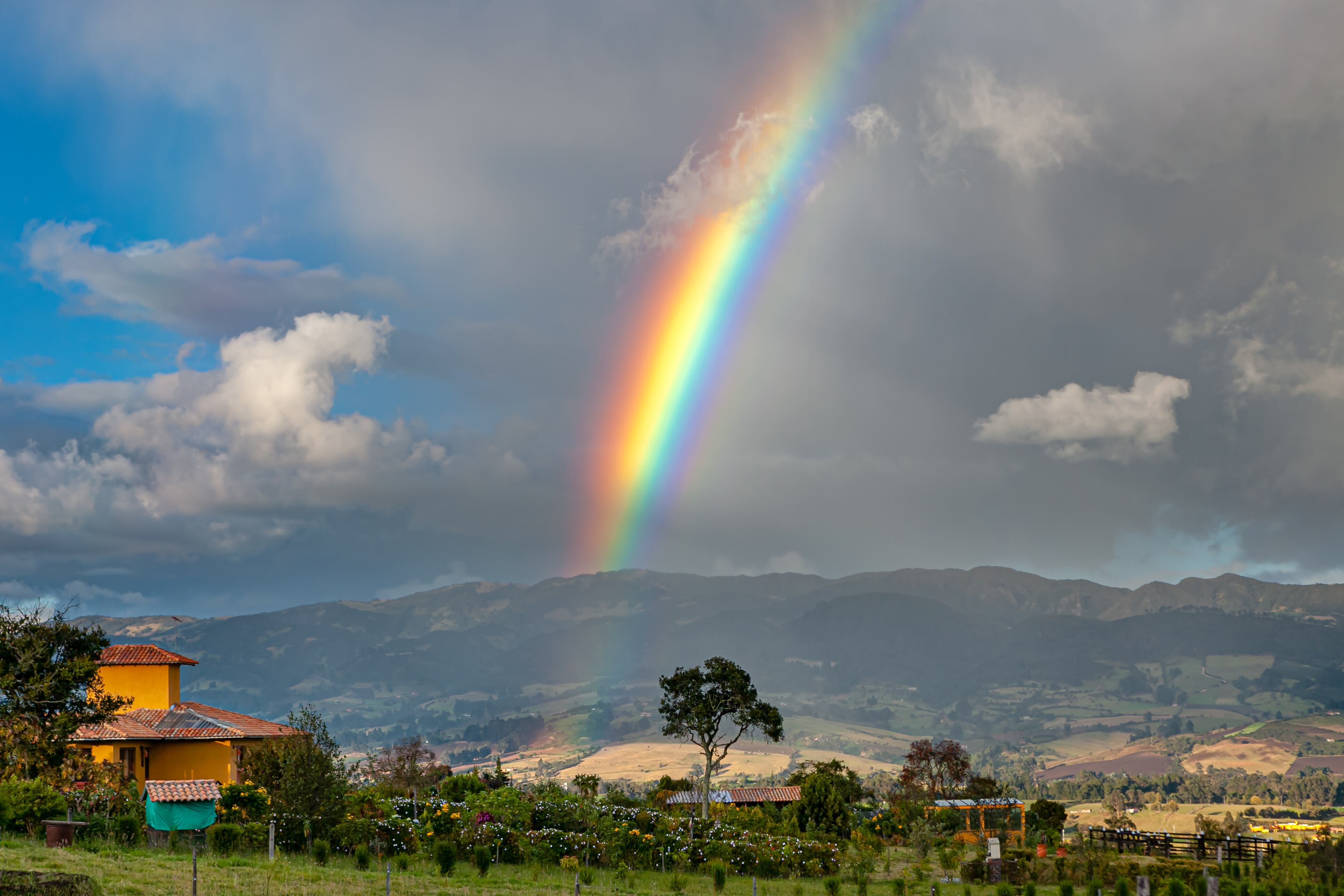 Cundinamarca Guatavita Amazon