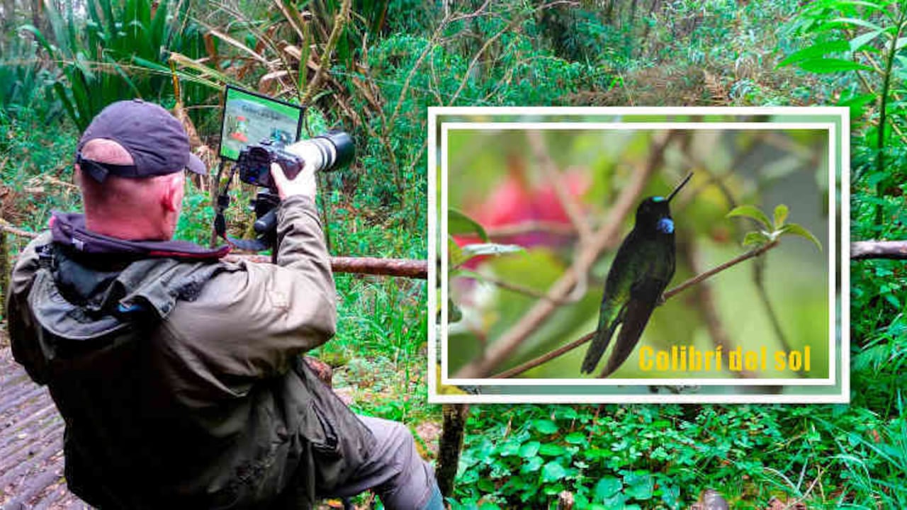 El gobierno espera atraer cerca de 15.000 avistadores de aves cada año, que dejarán recursos en el país por más de 46 millones de dólares. Son turistas de altos ingresos, mayores de 40 años y destinan entre 10 y 15 días para la observación de especies.