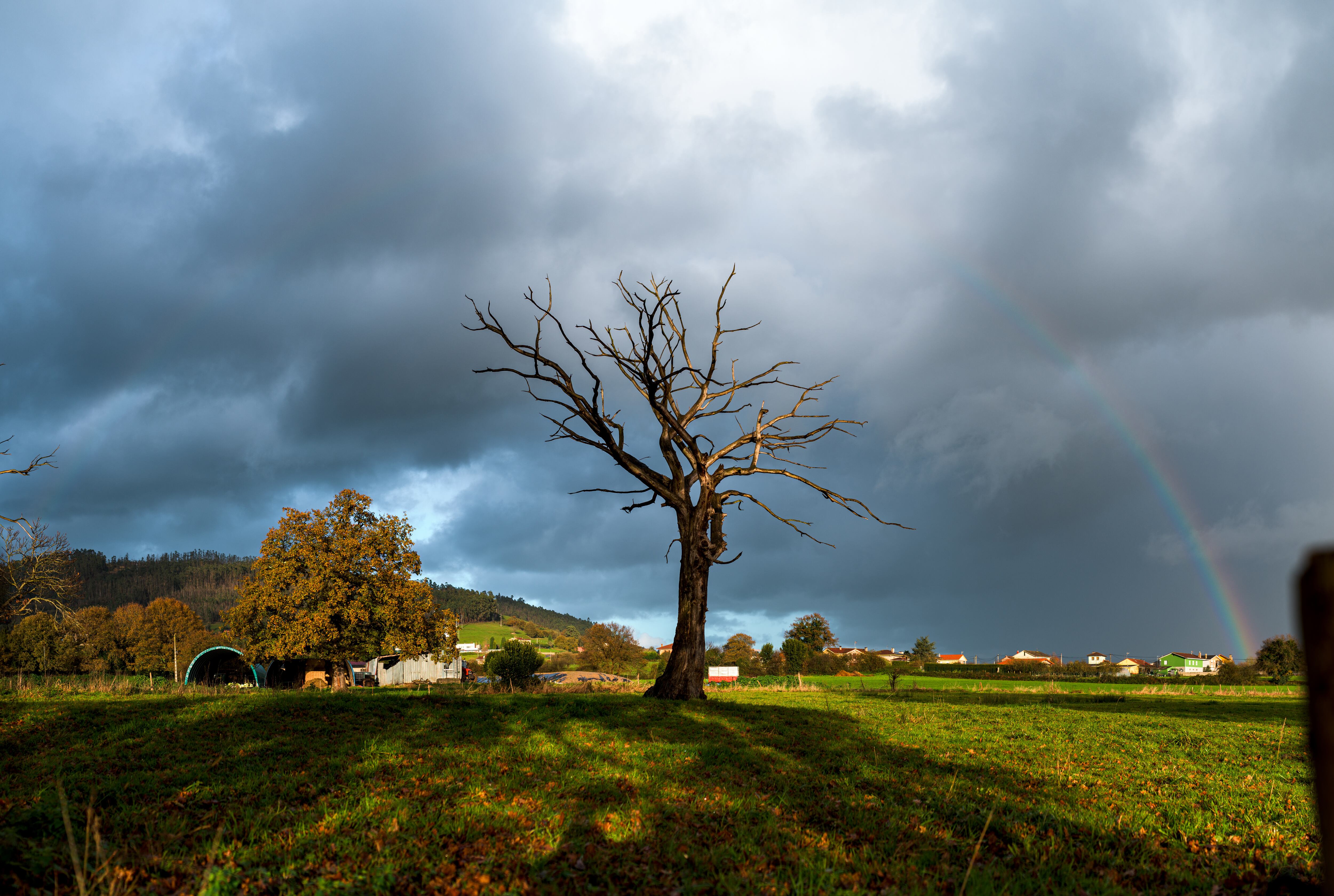 La Niña puede aparecer para la temporada de otoño en Estados Unidos