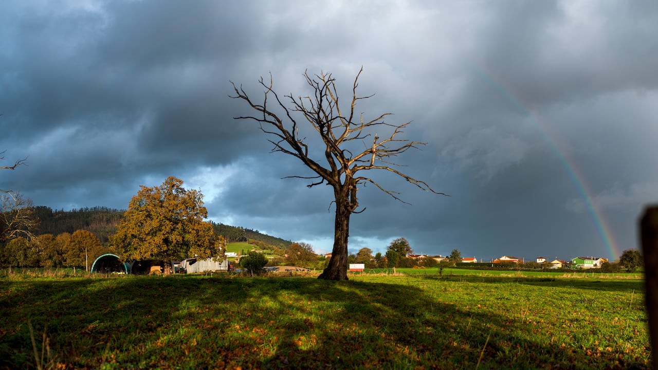 La Niña puede aparecer para la temporada de otoño en Estados Unidos