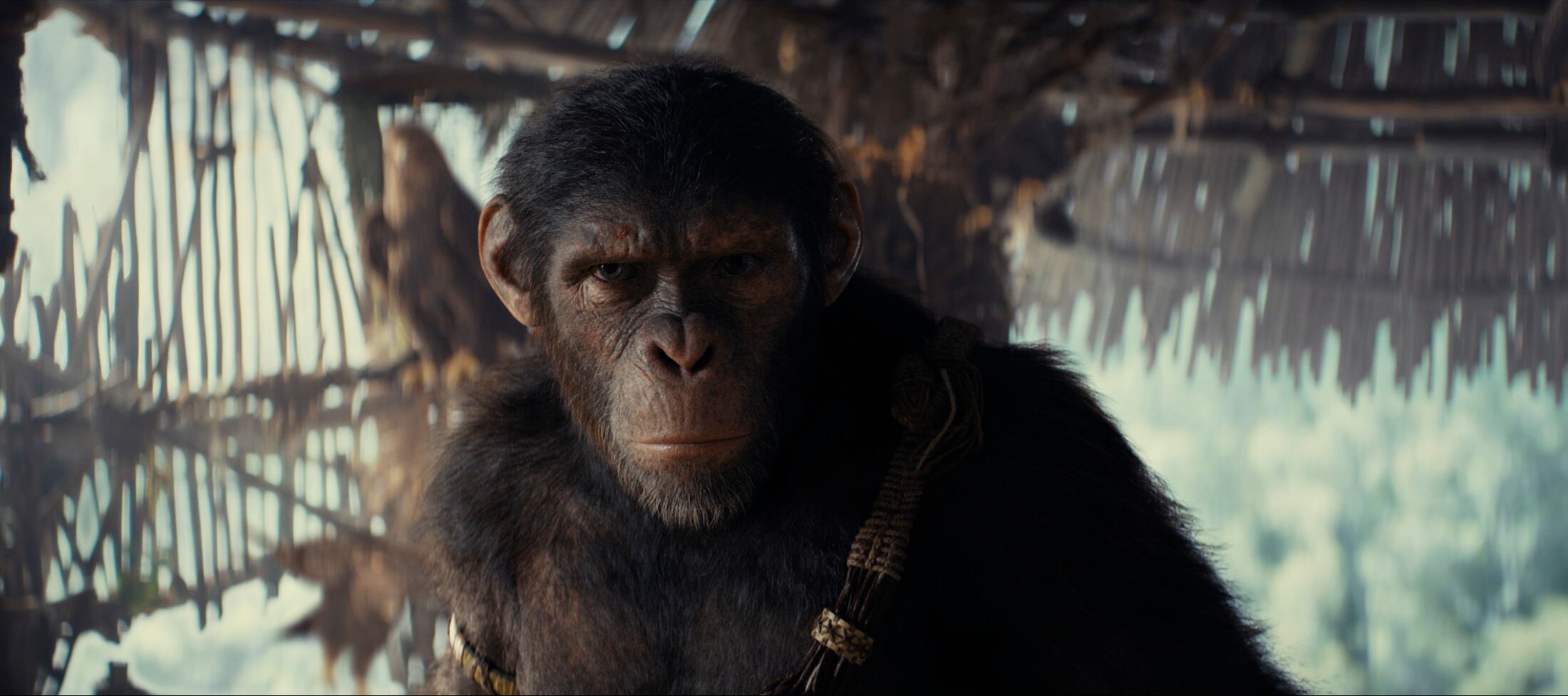 Noa (Owen Teague) en KINGDOM OF THE PLANET OF THE APES.