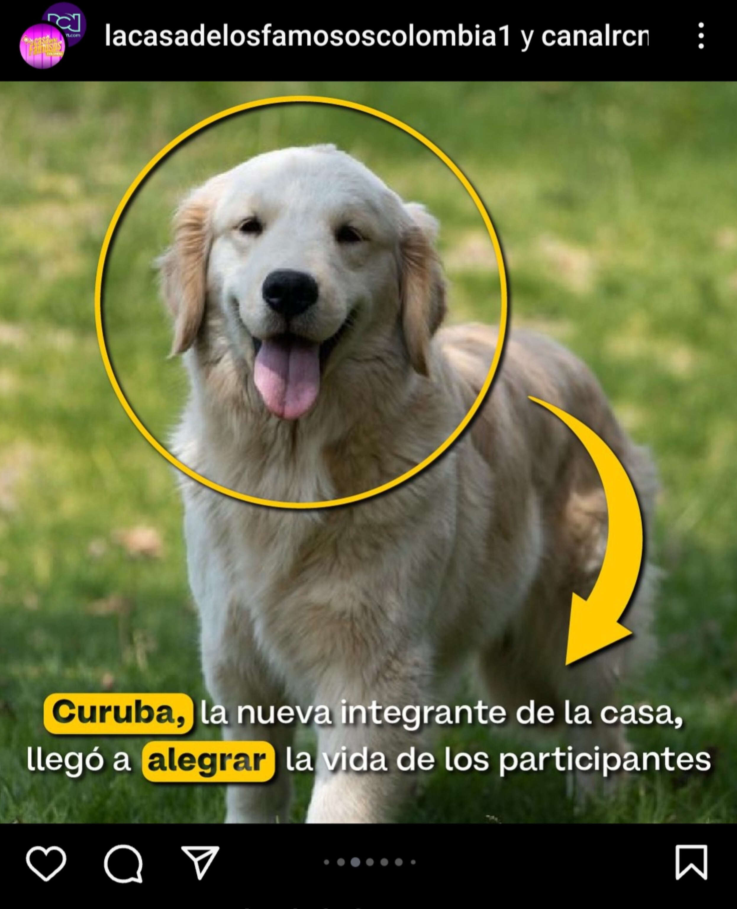 Foto: captura de pantalla / Instagram