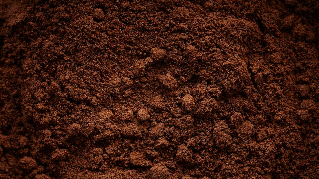 El consumo de café también tiene beneficios.