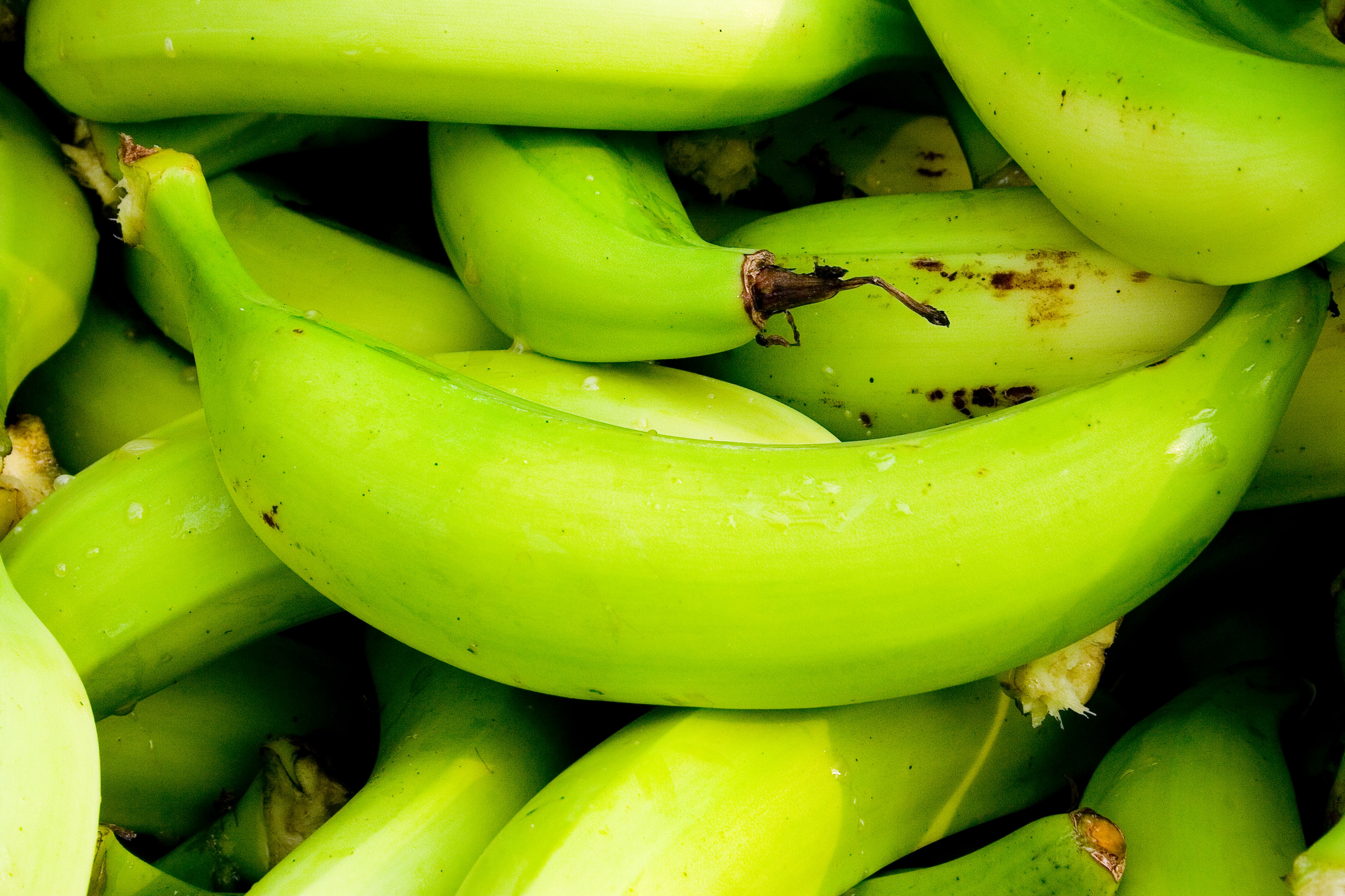 Banano del Urabá / Colombia. Getty Images.