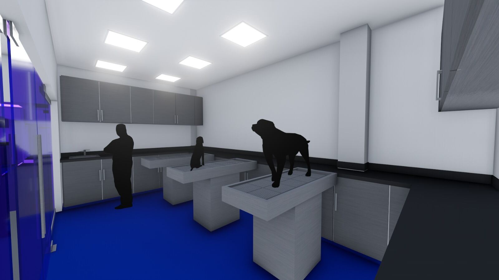 Esta es la universidad de Cali que inaugurará clínica veterinaria como homenaje al perro Wilson.