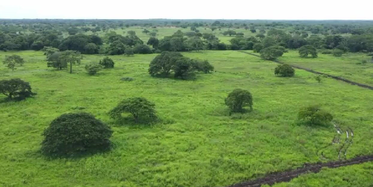 La finca en Cesar está avaluada en más 26.200 millones de pesos.