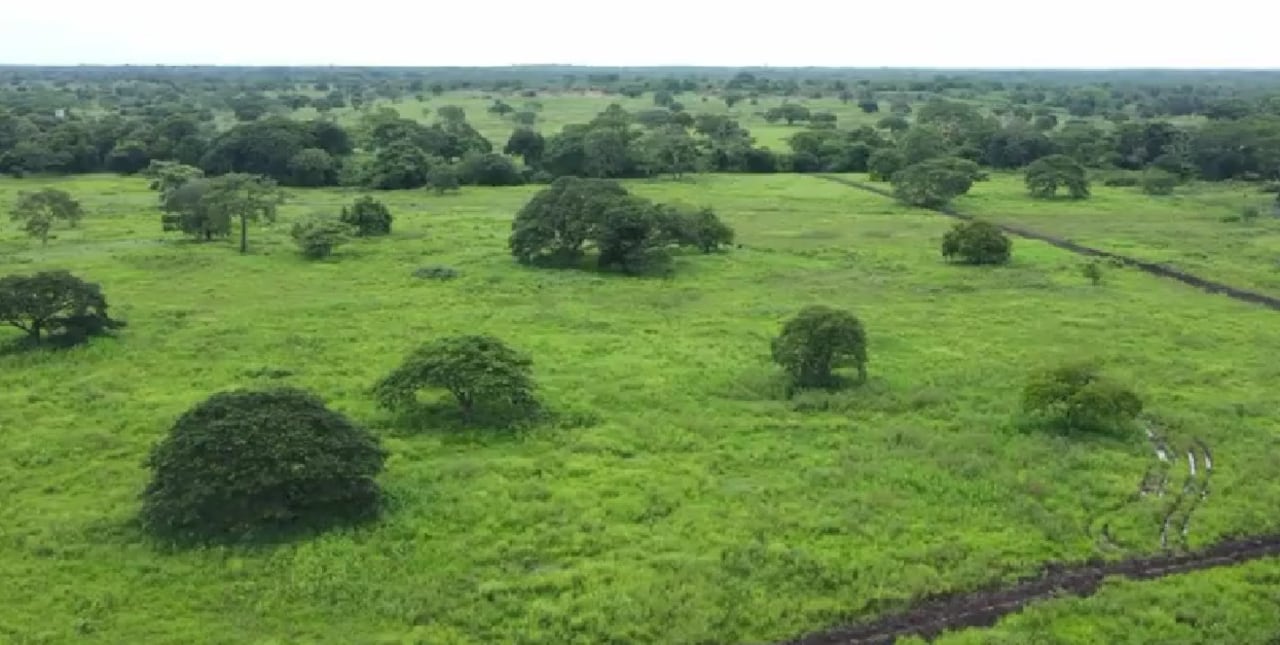 La finca en Cesar está avaluada en más 26.200 millones de pesos.