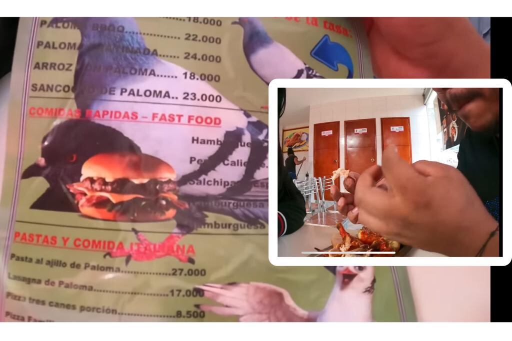 Restaurante de paloma asada