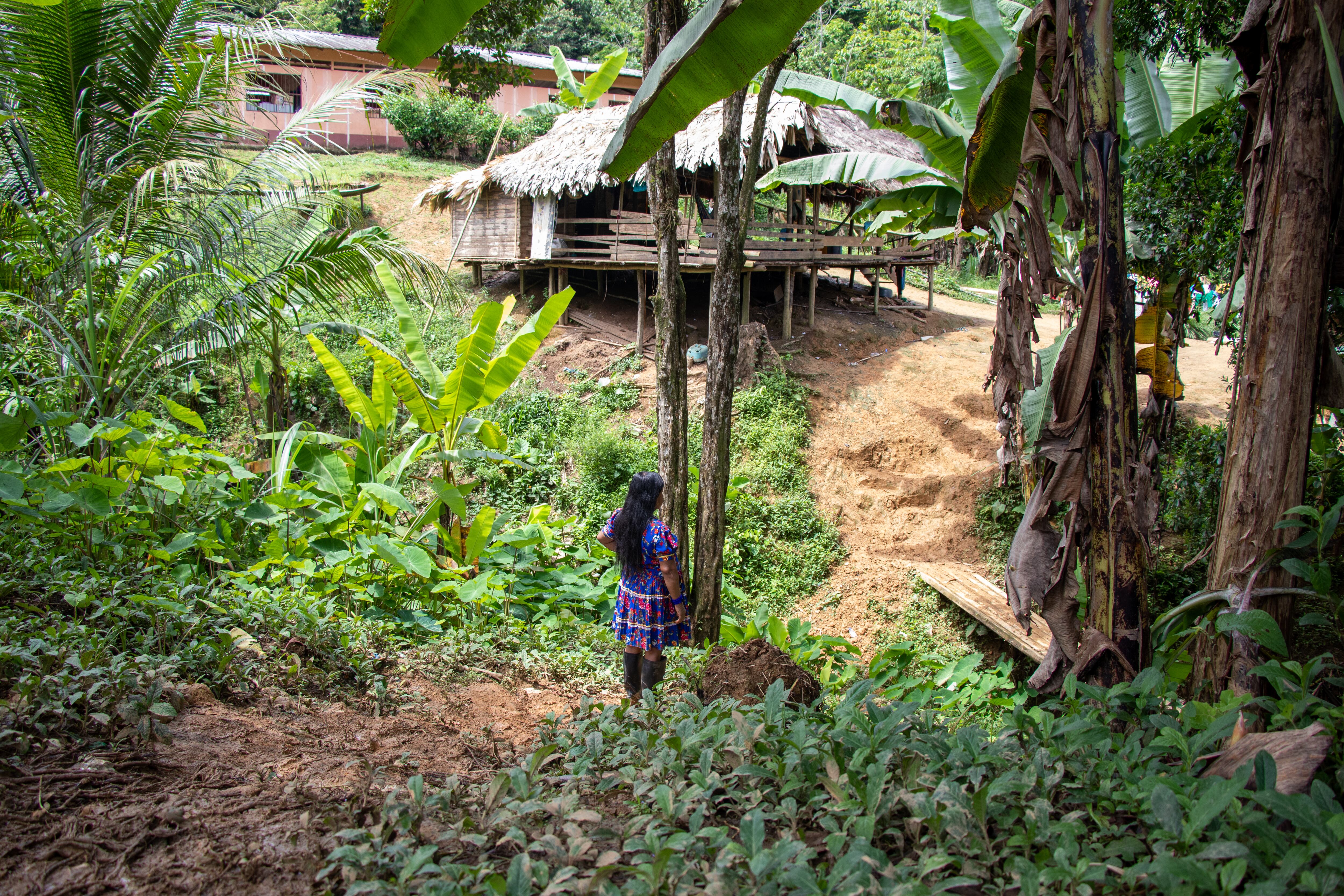 Puesto Indio, Sanadora Rogelina.