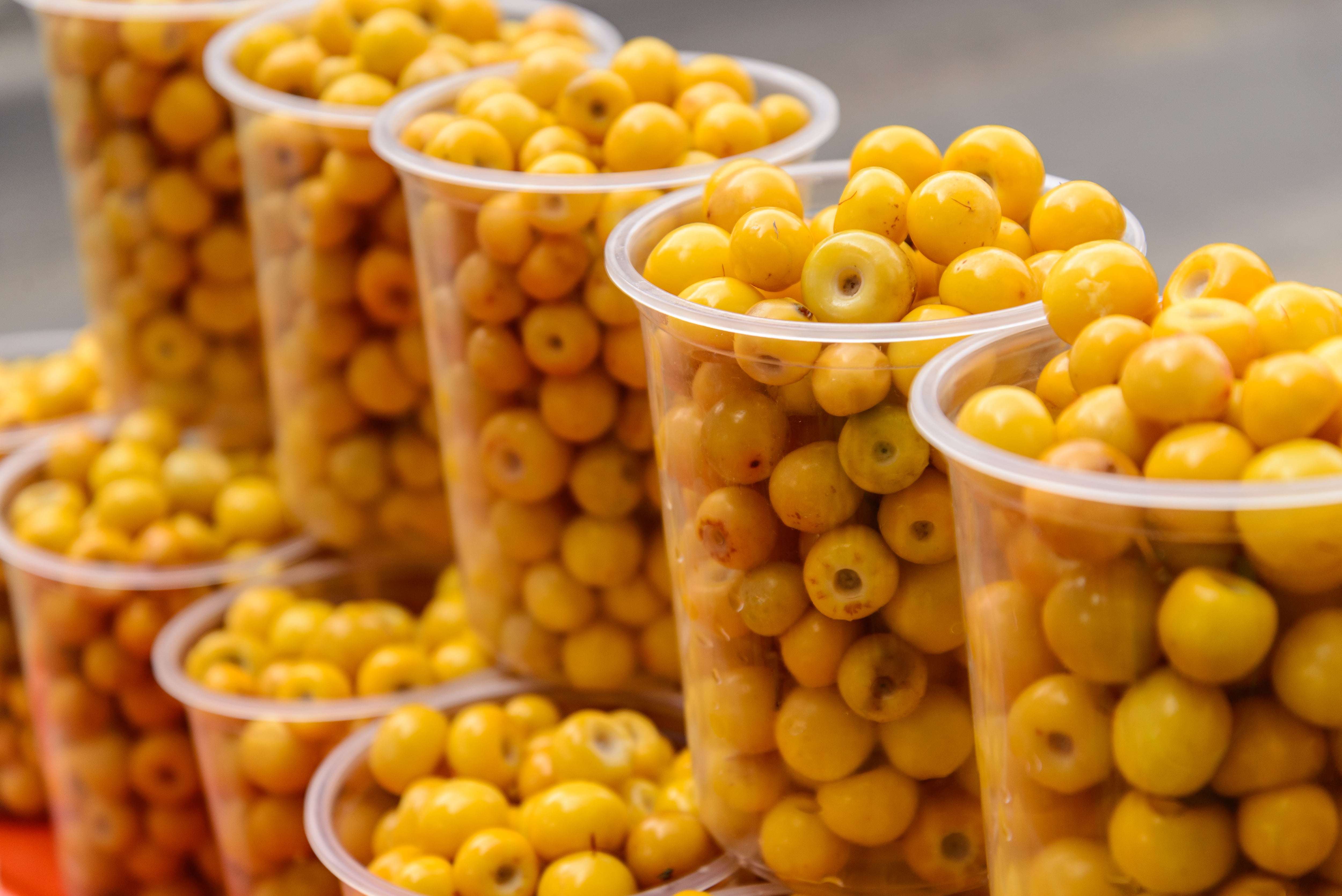 El nanche ayuda a prevenir la aparición de arrugas prematuras