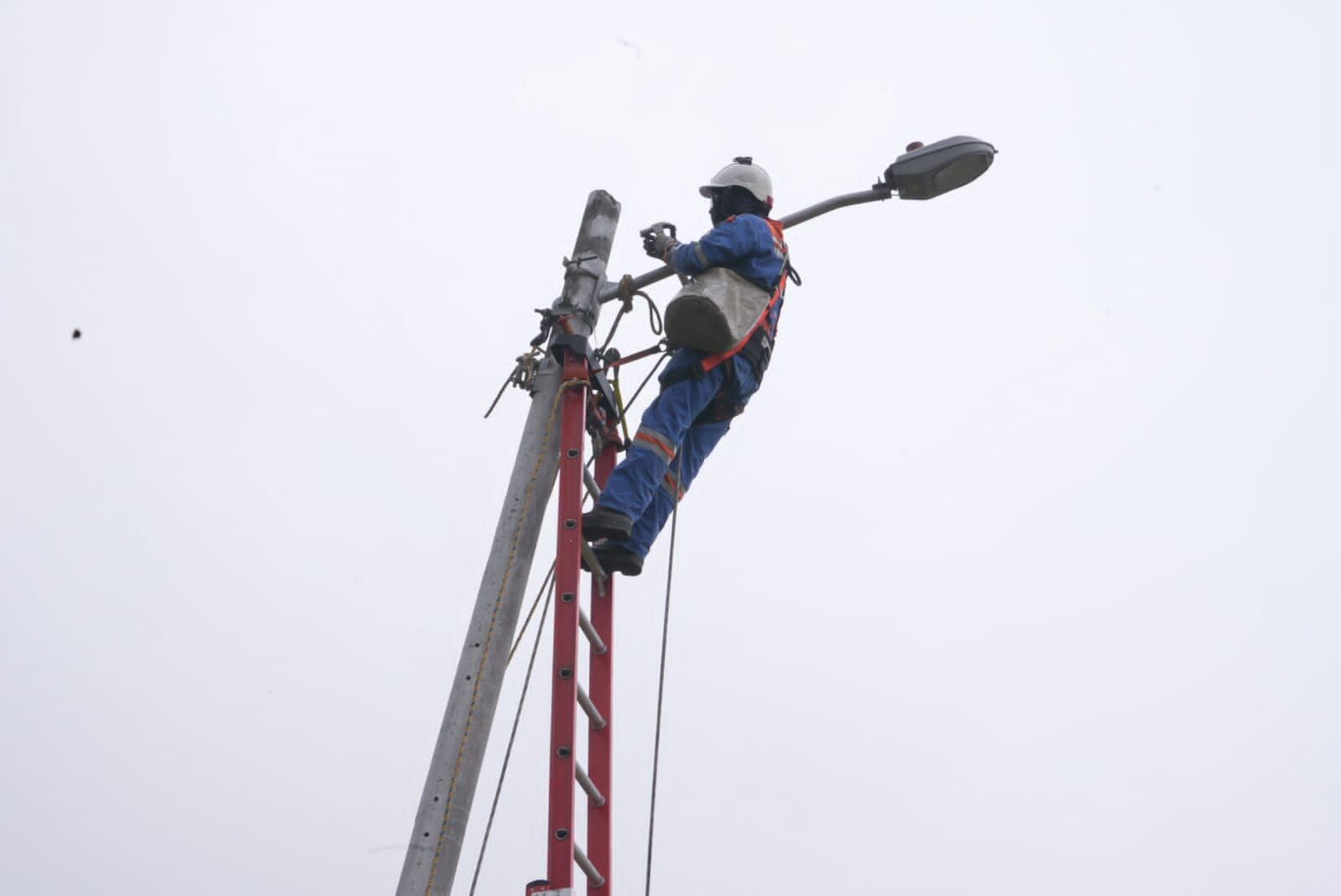 Pilas: Delincuentes pretendían construir y vender viviendas en parque ecológico ubicado en la zona rural de Ciudad Bolívar