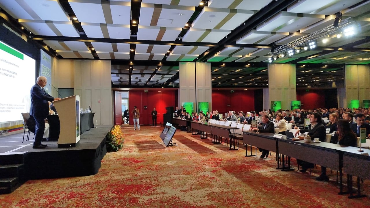 Rafael Hernández, presidente de Fedearroz, durante la Cumbre de presidentes de comités arroceros.