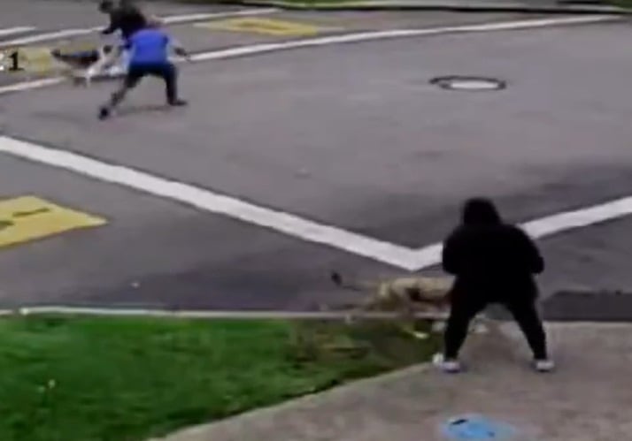 La inseguridad sigue golpeando a Bogotá y cada día se reportan casos de personas que han sido víctimas de robos a mano armada.