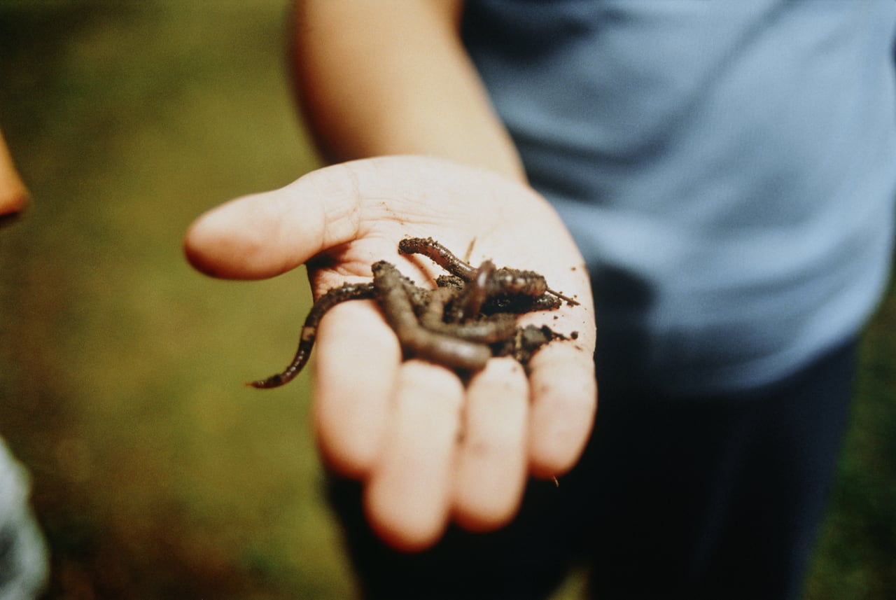Un vistazo al subconsciente: Qué revelan los sueños con gusanos en el cuerpo