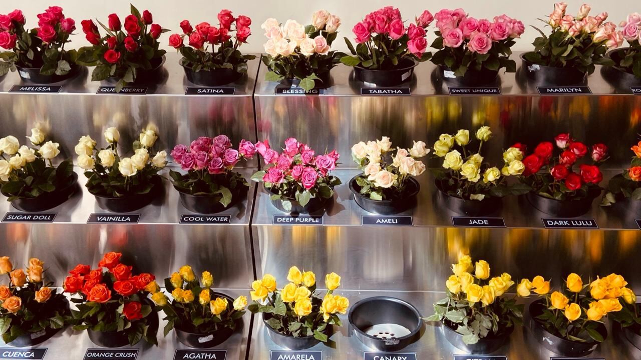 Quienes gestarán el mañana de la floricultura priorizan el bienestar de las personas, comprenden el impacto de sus organizaciones en el ecosistema natural y buscan alternativas para construir un mundo mejor.