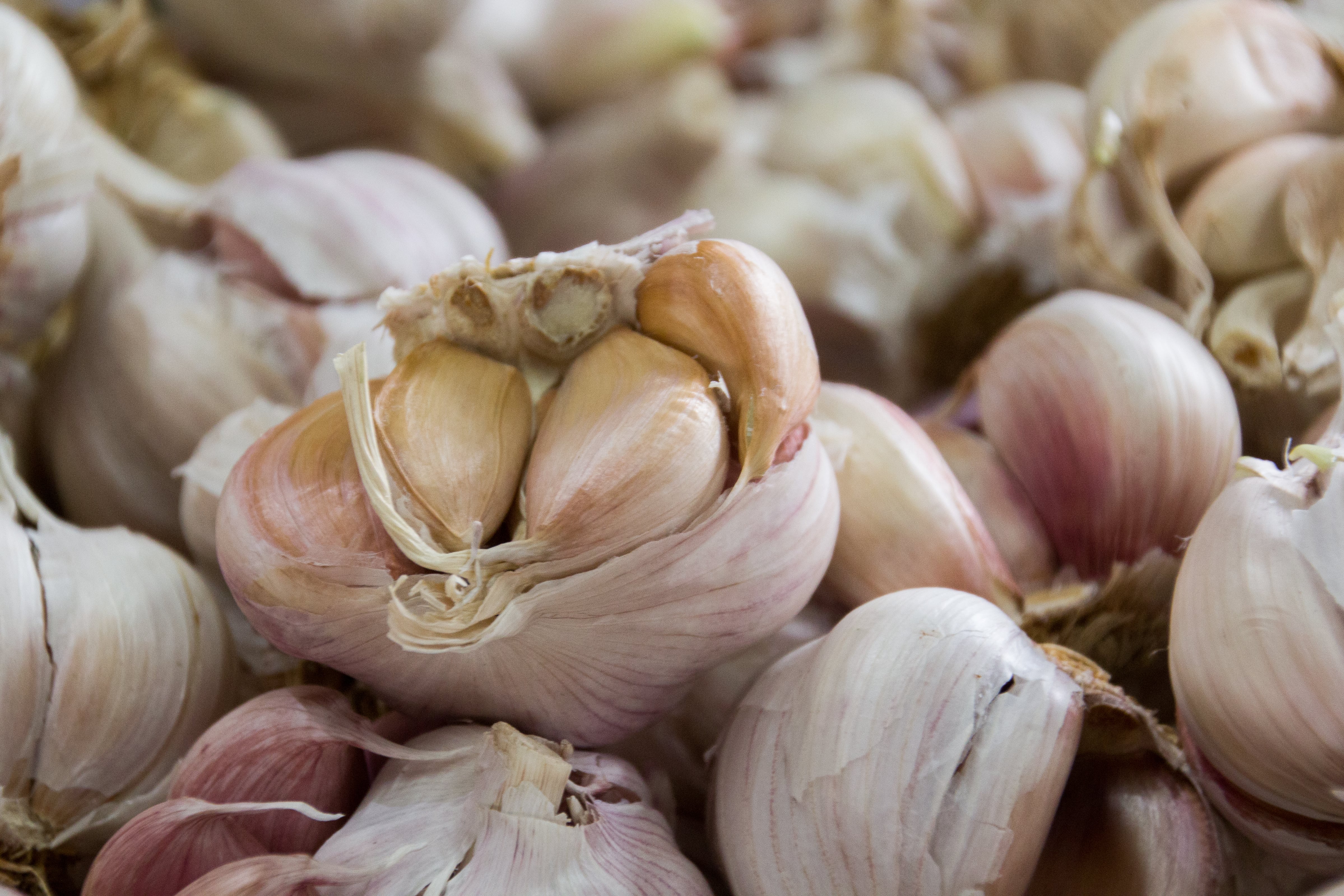 El ajo es un alimento con muchos beneficios para el cuerpo.