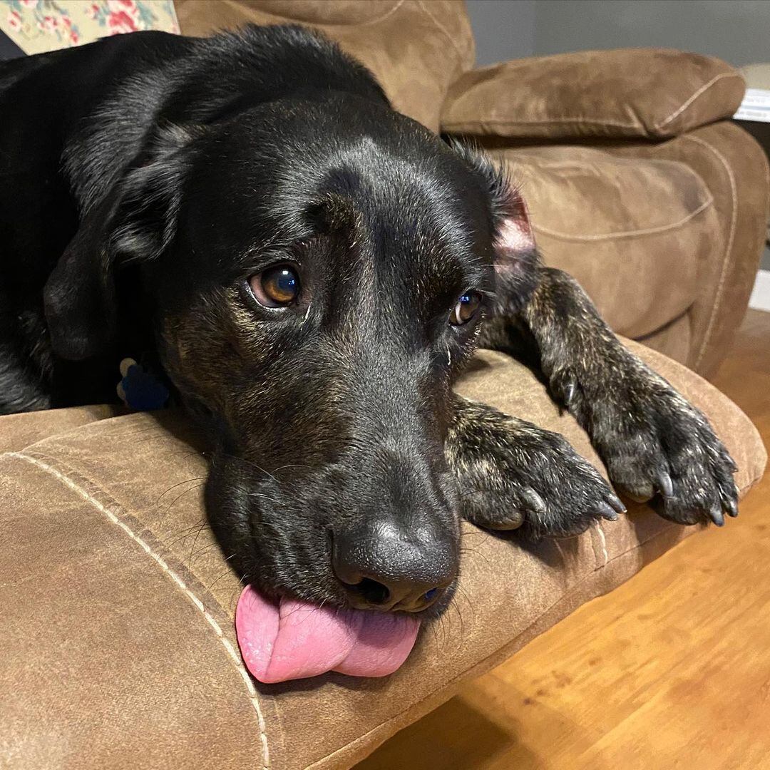 Zoey vive en Louisiana, Estados Unidos, donde es muy querida por su forma de ser.