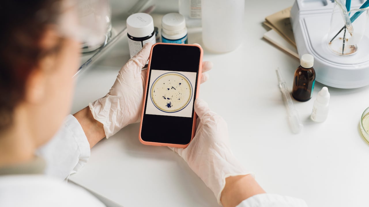 Investigadores describen una relación nociva que drena tiempo, atención y bienestar.