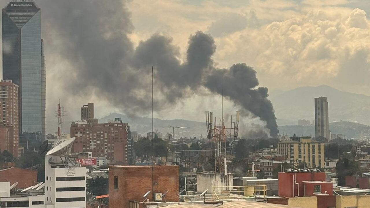 Imagen compartida en la red X.