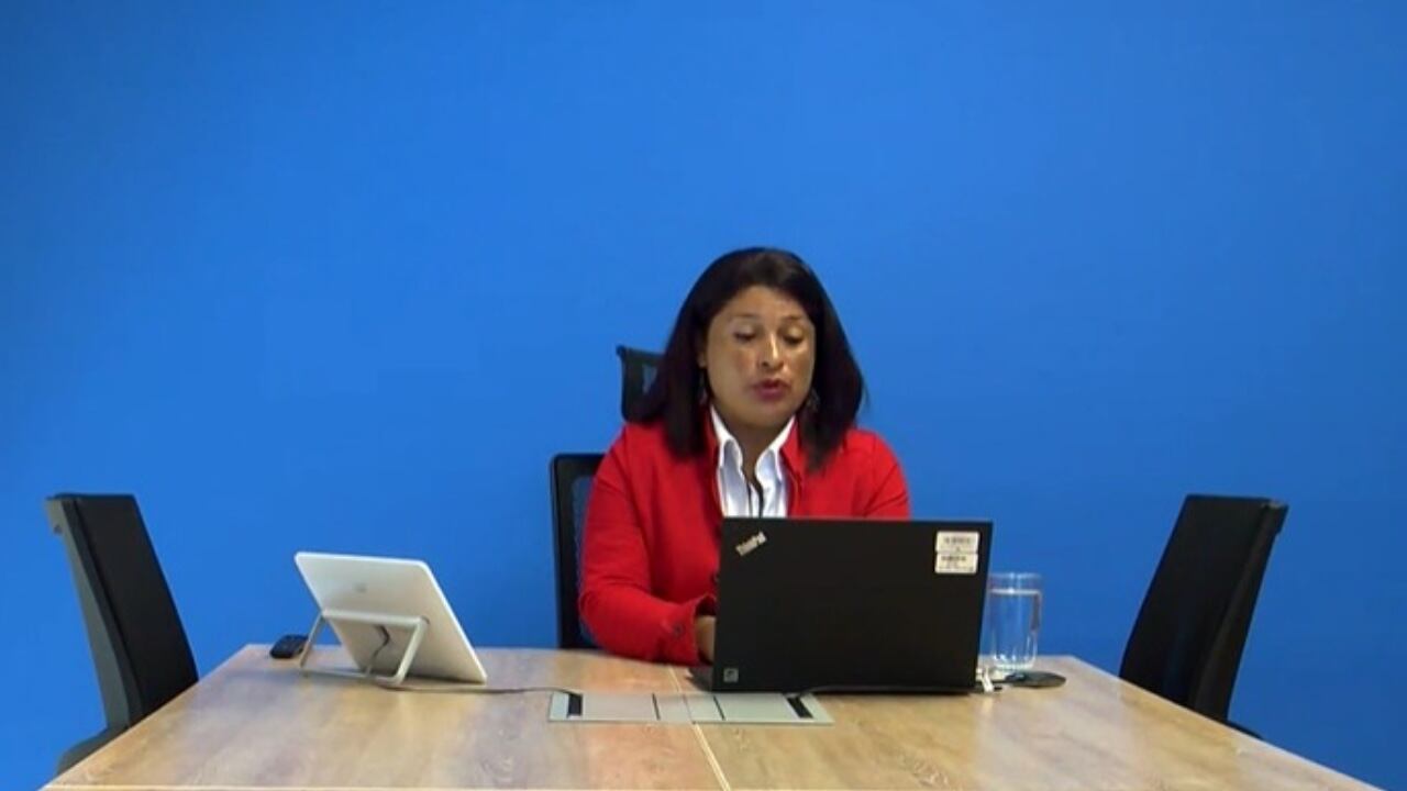 Luz Marina Giraldo hablando sobre los Acuerdos de Paz ante la ONU