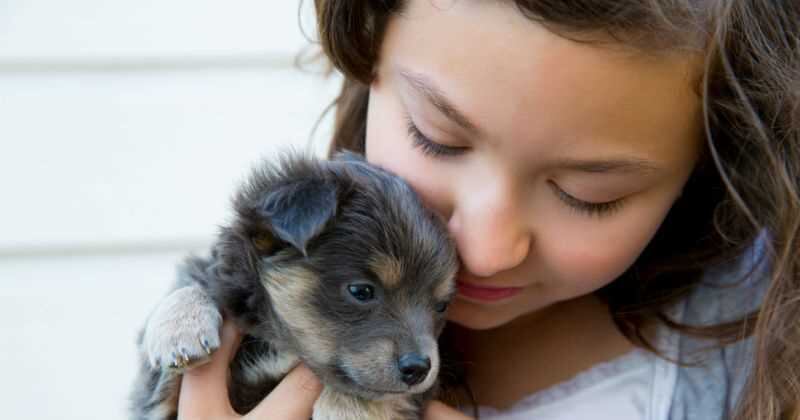 Thea Chase fue hallada dormida y con buena condición de salud acompañada por sus dos perros. (Foto de referencia)