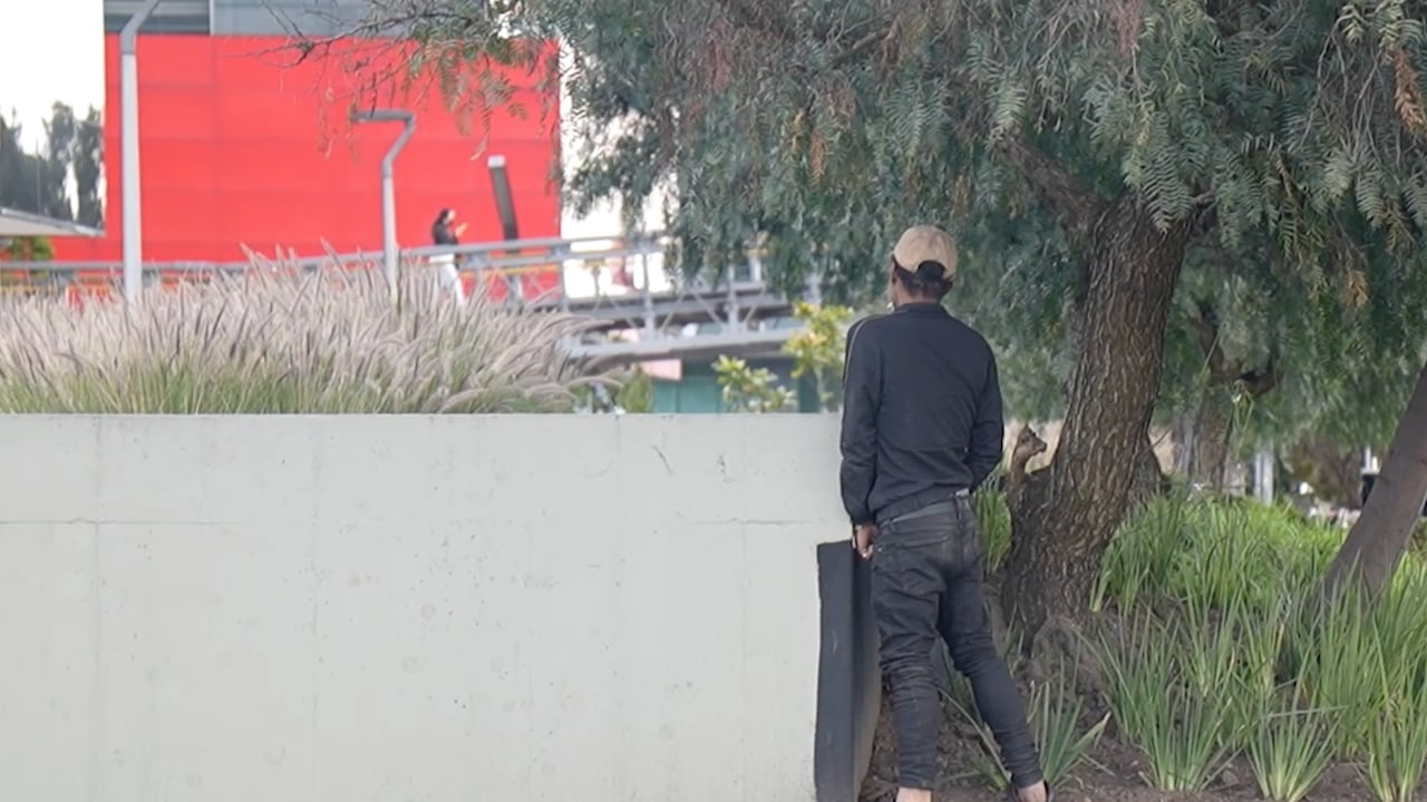Los ciudadanos que usen la calle para hacer sus necesidades fisiológicas deberán pagar cuantiosa multa.