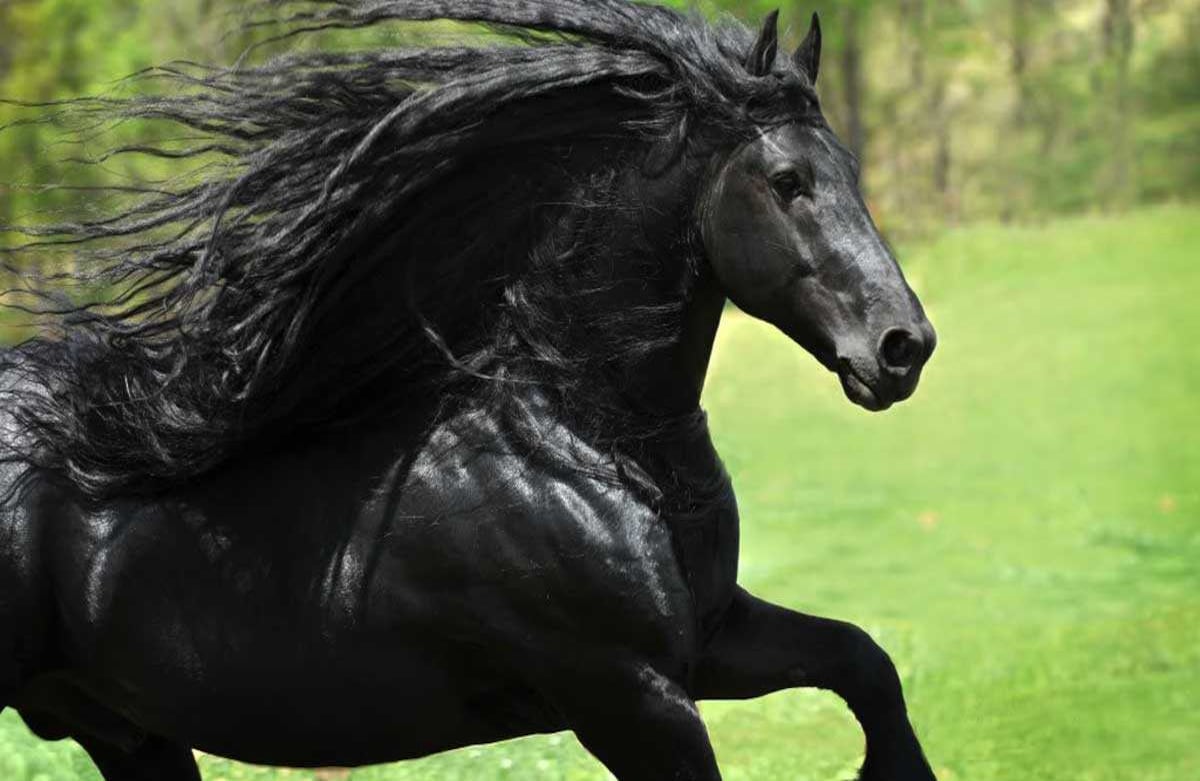 Foto: Cally Matherly