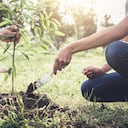 Pareja joven plantando el árbol mientras riega un árbol trabajando en el jardín como concepto de salvar el mundo, la naturaleza, el medio ambiente y la ecología.